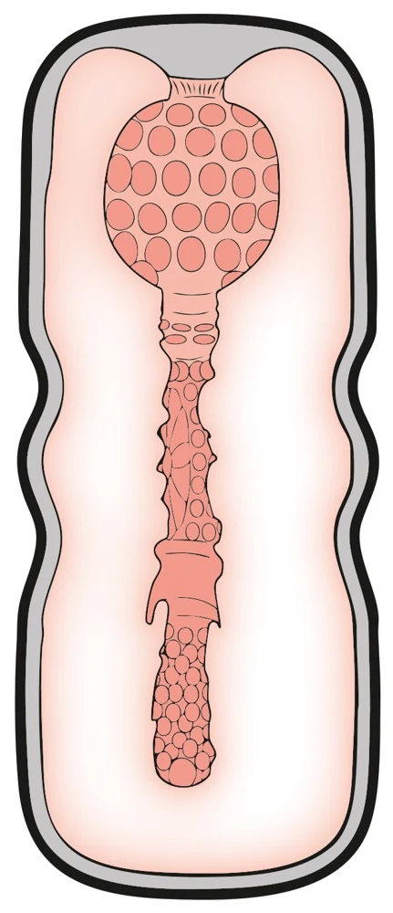 Discrete anale masturbator met sleeve