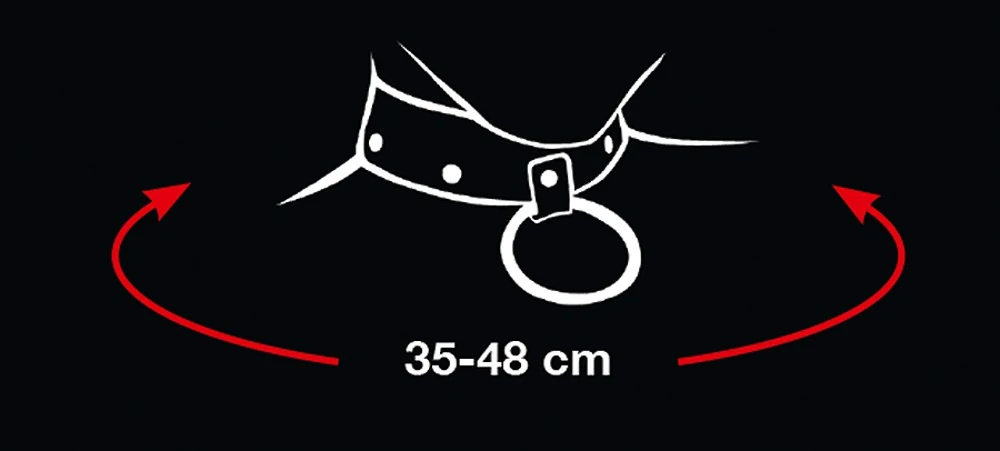 Bad Kitty nekband met riem