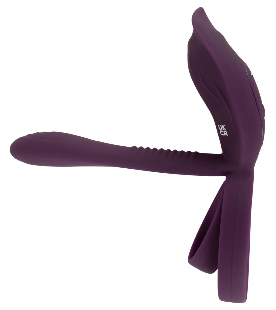 RC Couple's Vibrator 2 met afstandsbediening