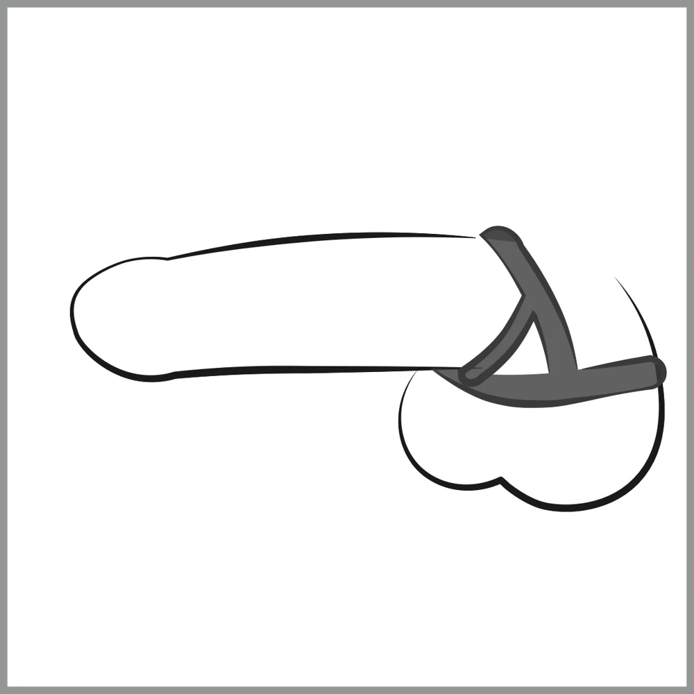 Transparant penis- en testikelring trio