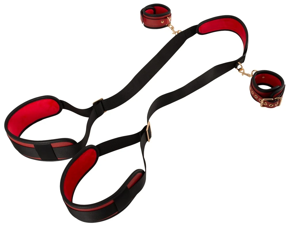 Bad Kitty nekhoge fixatieset