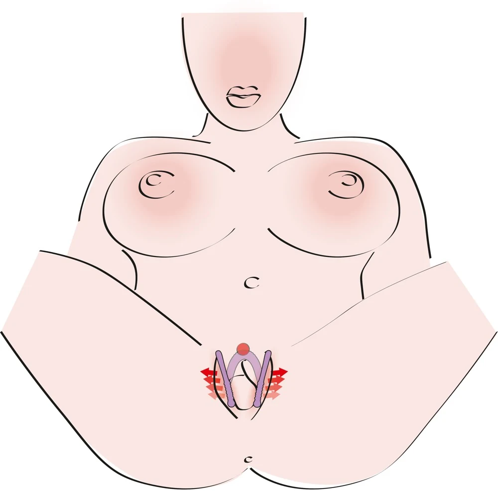 Labia spreider met siliconen afwerking