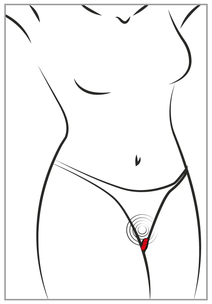 Sweet Smile RC panty vibrator