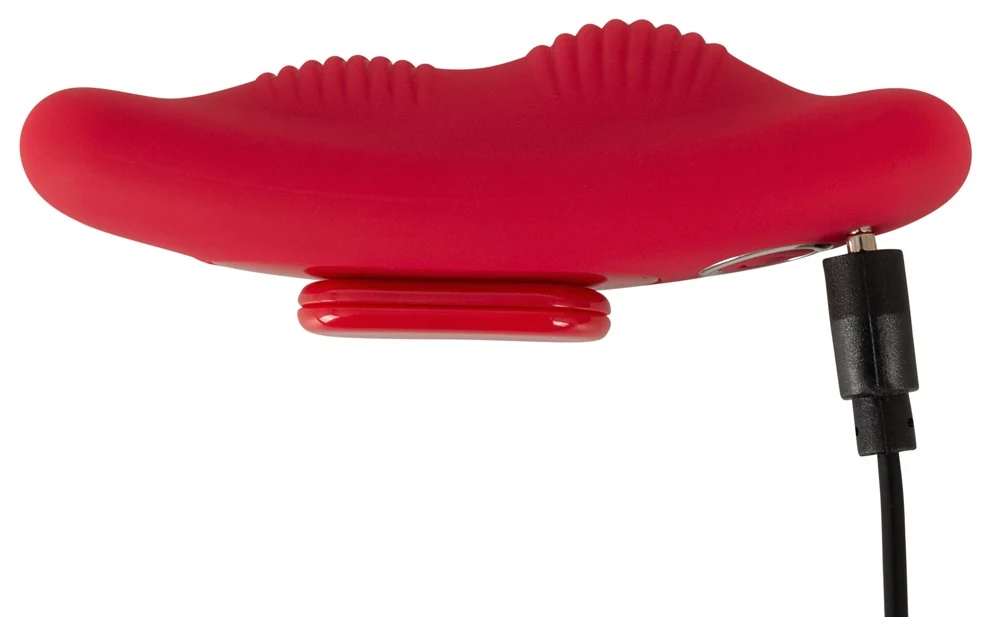 Sweet Smile RC panty vibrator