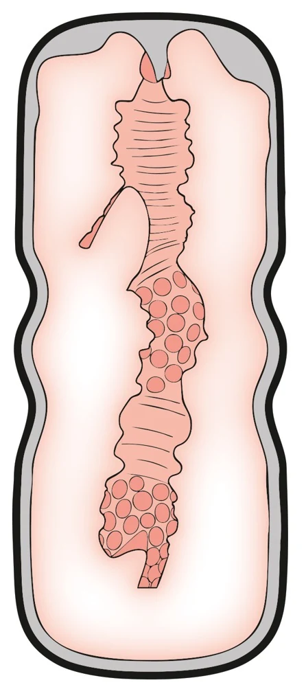 STROKER discrete orale masturbator
