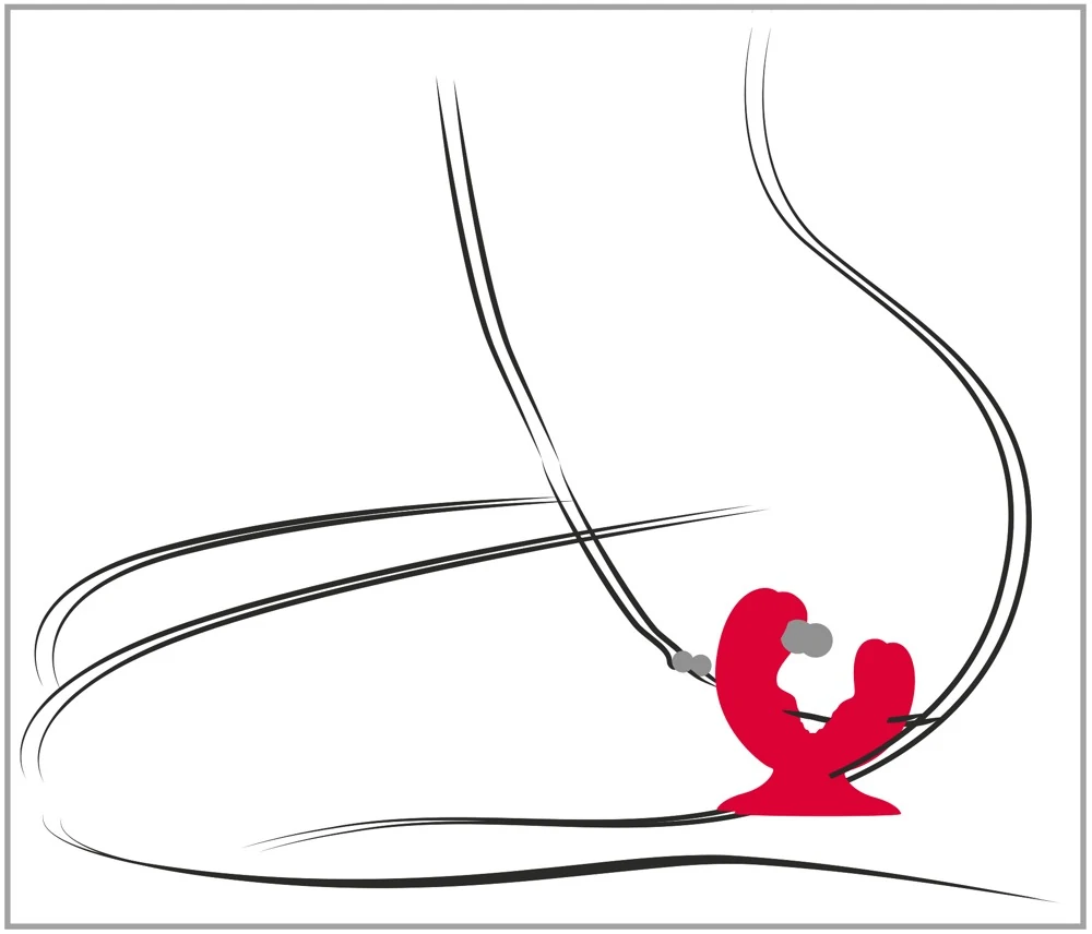 Sweet Smile dubbele vibrator met zuigbasis