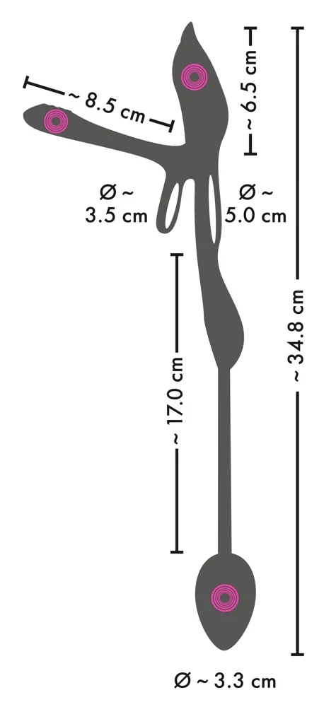 RC Multi Function Couple's Vibrator