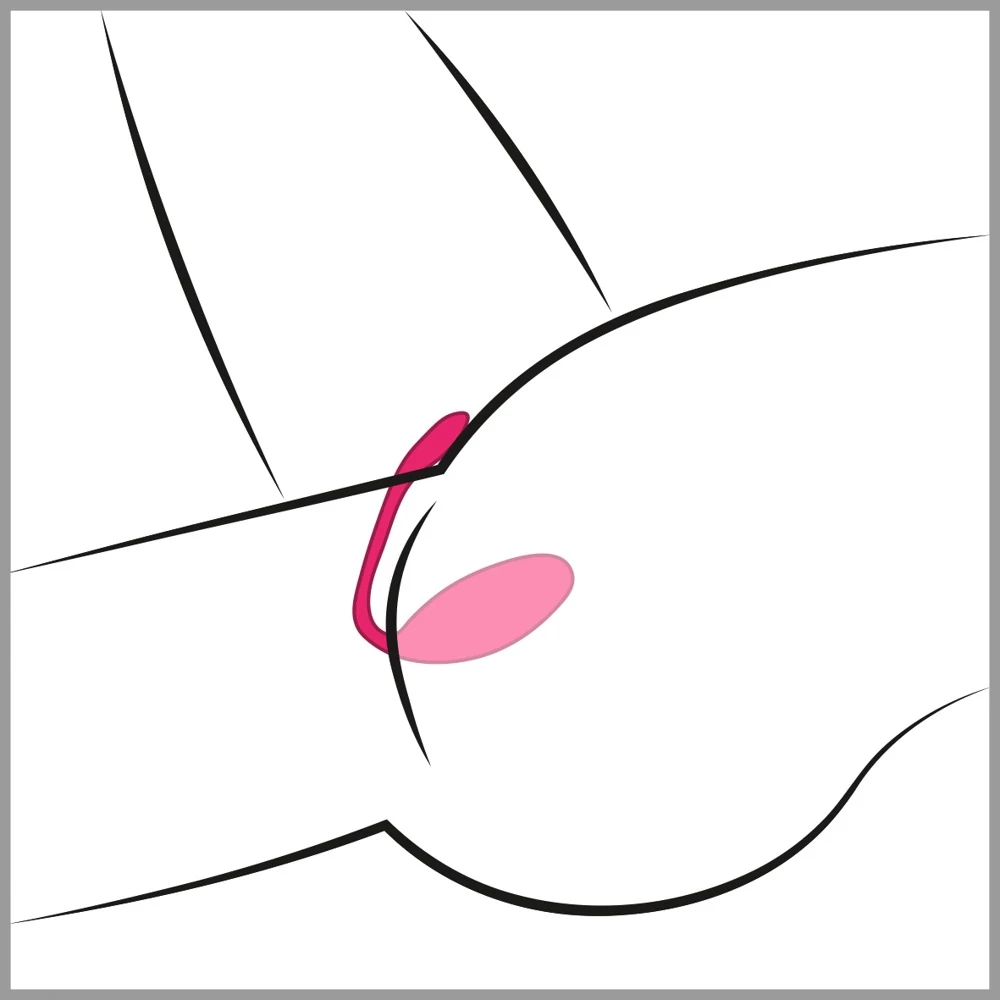 Lovense Lush 3 vibratie-ei met app