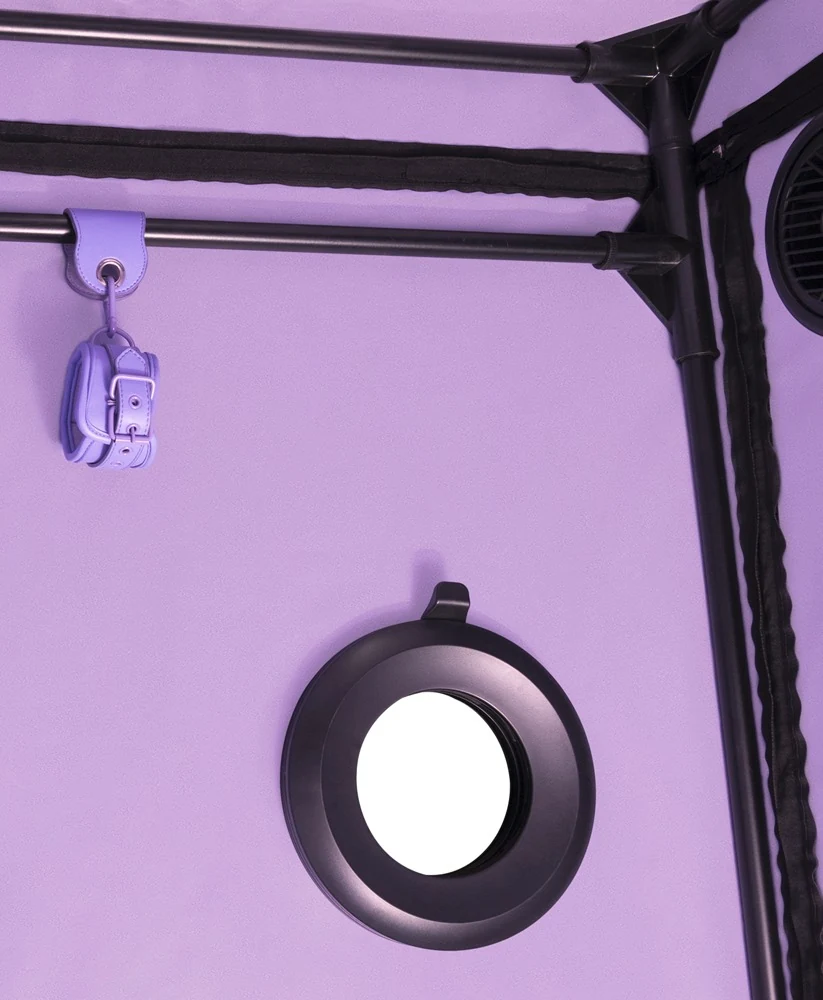 Secret Dome Scandale BDSM cabine
