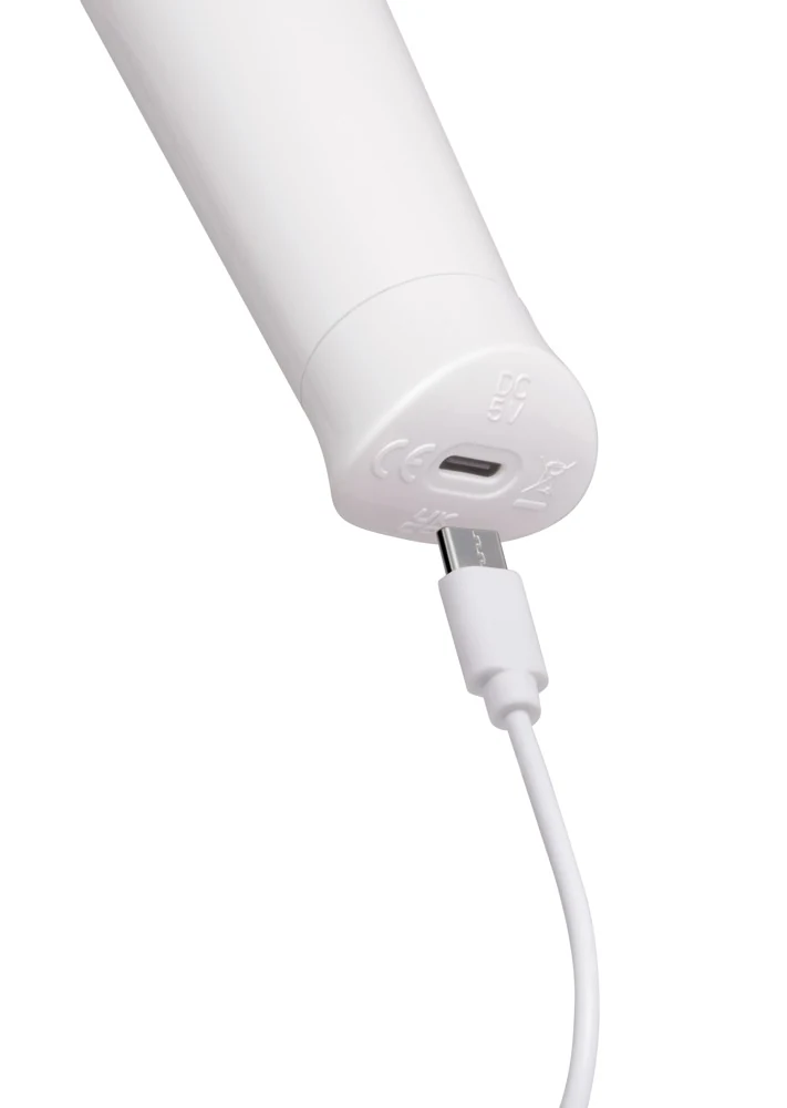 le WAND Classique Cordless Petite massagestaaf