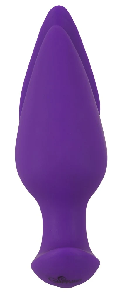 Sweet Smile RC 2-in-1 Plug & Panty Vibe