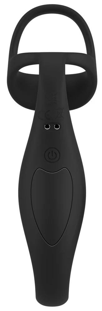 Cock ring met afstandsbediening en prostaatplug