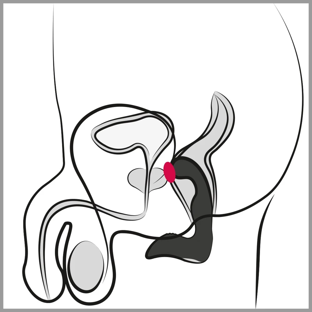 Flexibele prostaatvibrator oplaadbaar