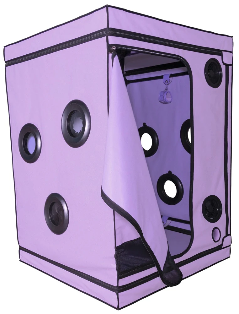 Secret Dome Scandale BDSM cabine