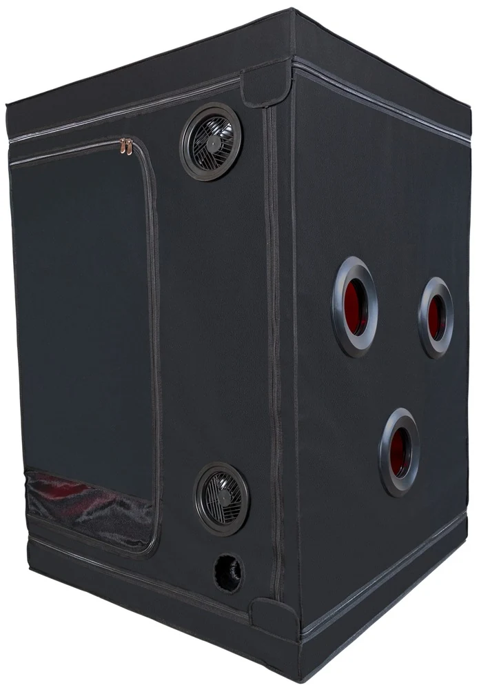 Secret Dome Scandale BDSM cabine