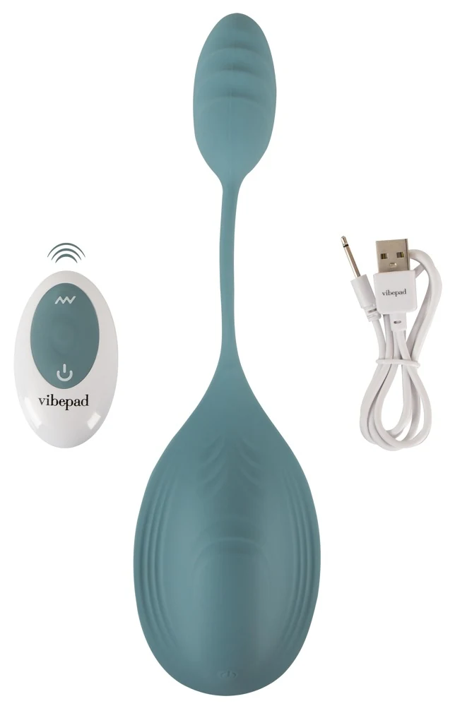 Vibepad Mini met Afstandsbediening