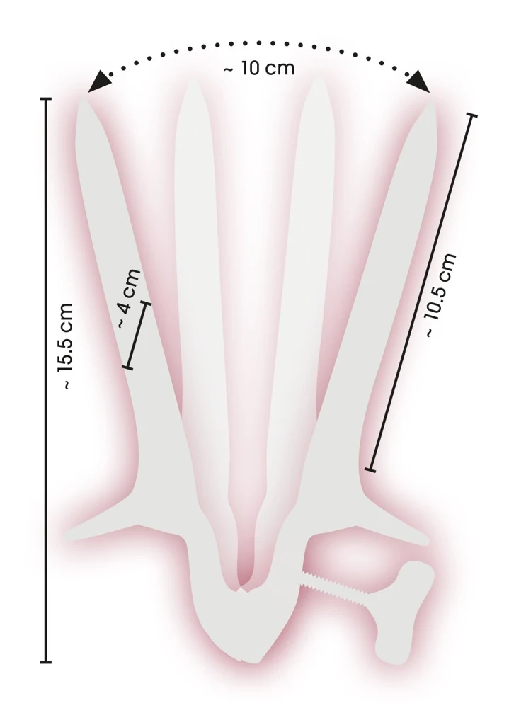 RVS speculum met stelschroef